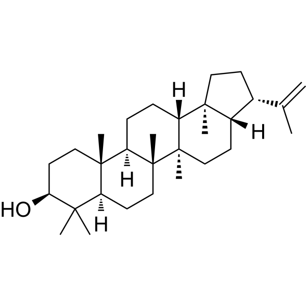 3β-Hydroxy-hop-22(29)-ene 58801-23-3
